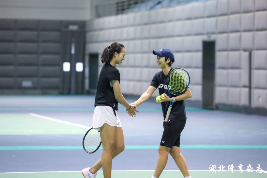 荷兰对阵西 荷兰对阵西