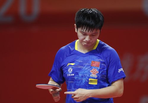 西班牙羽毛 西班牙羽毛